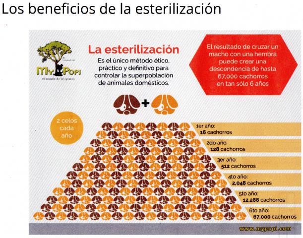 beneficio_de_esterilizar.jpg